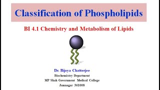 Classification of Phospholipids [upl. by Maghutte]