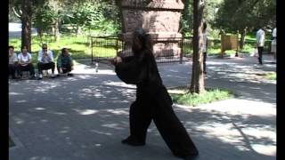 Yang Jian Hou Tai Chi Chuan Master Zhangs demonstration for Master Jin [upl. by Rufena]