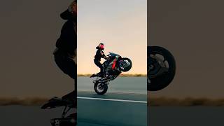 BMW S 1000 RR 1million vviralvideo [upl. by Rimma]