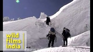 Crevasse crossing Khumbu Everest [upl. by Hanna]