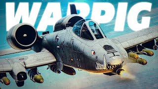 WAR PIG  A10C Warthog In Action  Digital Combat Simulator  DCS [upl. by Loux808]