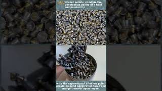 HampN Hornet Pellets for good penetration and energy transfer upon impact [upl. by Wait]