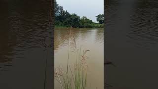 mahendratanaya river pathapatnam parlakhemudi [upl. by Ear]