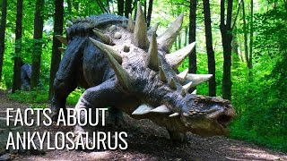 Interesting Facts About Ankylosaurus [upl. by Ibocaj295]