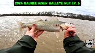 Maumee River Walleye Run 2024 Ep 6  Rain Storm Fishing [upl. by Ardyth]