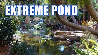 EXTREME POND  POOL MASTERS TOP TEN [upl. by Saphra]