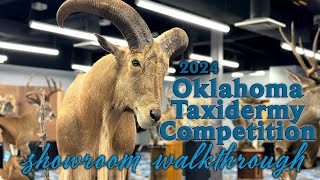 2024 Oklahoma Taxidermy Competition  Showroom Walkthrough [upl. by Ardni]