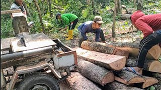 Gergaji kayu mahoni pagi ini menggunakan gergaji serkel rakitan [upl. by Bisset]