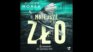 Mniejsze zło  Audiobooki po polsku całe [upl. by Euqinoj]