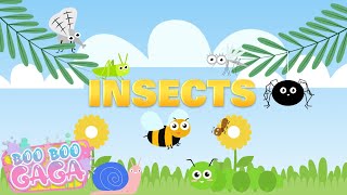 Insect Song  Bugs Song  Insects for Kids by Boo Boo Gaga booboogaga [upl. by Ettenaej785]