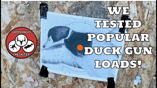 We Tested A Bunch of Duck Gun Loads  Shotgun Patterning For Waterfowl  Steel Shot  Pattern Goose [upl. by Dyob]