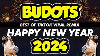 2023  2024 BEST OF TIKTOK BUDOTS VIRAL REMIX  KRZ Remix  Year Ender [upl. by Althee]