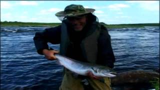 Fliegenfischen in aller Welt  Bachforelle Äsche Tarpon Bonefish [upl. by Faith933]