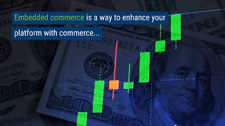 Monetizing Payments through Embedded Commerce [upl. by Aicilla953]