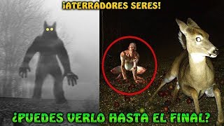 5 Extrañas criaturas captadas en cámara  Fenómenos Paranormales 2018  Misterios Sorprendentes [upl. by Itsur507]