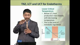 TNZ LCT and UCT for Endotherms  Animal Physiology and Behavior Theory  ZOO502TTopic224 [upl. by Ragouzis]