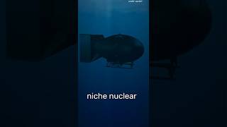 Under Water Nuclear Bomb Test Went Very Bad 😱 [upl. by Rabkin563]