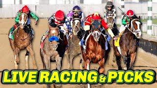 Hawthorne Picks amp Live Horse Racing Stream  Racing Dudes LIVE [upl. by Rhyner]