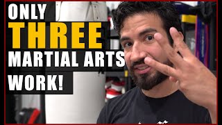 3 Best Martial Arts Styles  No Its Not Yours [upl. by Ullyot]