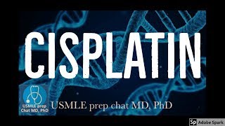 Cisplatin Mechanism of action ⑧ [upl. by Thurman]