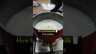 👌Best way to prevent MILK from Spoilage at home🤩🏡 diy tips shorts milk preserve [upl. by Ikkin133]