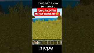 Flying with elytra from 💀 ground mcpe trending viralshorts mcpe minecraft tipsandtricks [upl. by Noswal743]