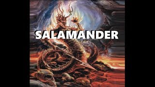 Dungeons and Dragons Lore Salamander [upl. by Little447]