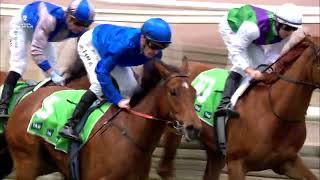 Every race from Penfolds Victoria Derby Day [upl. by Submuloc]