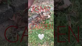 Garden ASMR garden asmr lofiasmr outdoors gardenasmr [upl. by Aleil]