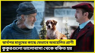 The Call Of The Wild Movie Explained In Bangla Adventure Movie Bangla Explained Movietime FOCUS [upl. by Primaveras]