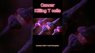 Optimal cancerkilling t cells discovered science [upl. by Stevens]