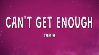 Tamia  Cant Get Enough Lyrics [upl. by Kelwin165]