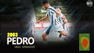 MEIA ARMADOR 2003 PEDRO [upl. by Dressler]