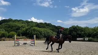 20240714 Standardbred gelding jumping 105 cm [upl. by Atikihc537]