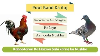 Kabootaron Aur Murgion Ke Poot Band Ka ilaj  Hazma Sahi Karne Ke Liye Desi Nuskha By Malik [upl. by Nickie]