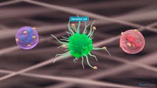 The Role of Epithelial Cytokines in CRSwNP [upl. by Allwein]