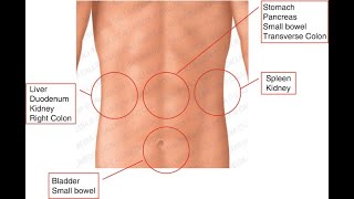 Clinical Features Signs and Symptoms of Abdominal Injuries [upl. by Eicart]