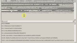 Hash Checksum  File String Hex AutoHotKey [upl. by Adnuhs]