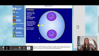 Mitosis Mover Walkthrough [upl. by Corrina]