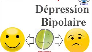 Les Symptomes du Trouble Bipolaire Depression amp Mania Bipolar Disorder Les Maladies mentales [upl. by Gilmer801]