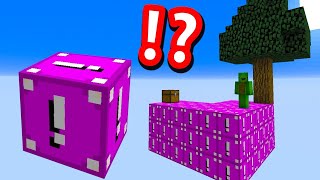 Minecraft Skyblock but EVERYTHING Is MOST DANGEROUS LUCKY BLOCKS [upl. by Icyac]