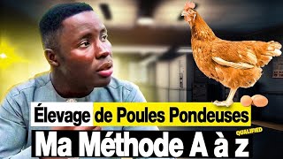 Aviculture  Élevage des poules pondeuses En Afrique  MA MÉTHODE A à Z [upl. by Dadirac]