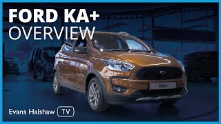 Ford KA Active Overview Walkaround and features  Evans Halshaw TV [upl. by Nelyag437]