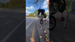 BMX Best Of Tire Rides [upl. by Thamora]