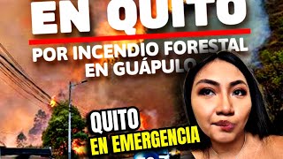 Ely Guaminga hace un llamado a la conciencia por los incendios forestales 😰 [upl. by Ainsley]