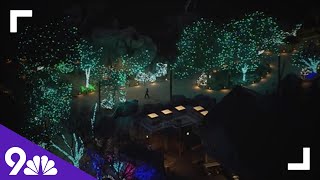 An aerial view of Denver Zoo Lights Blossoms of Light [upl. by Dinah]