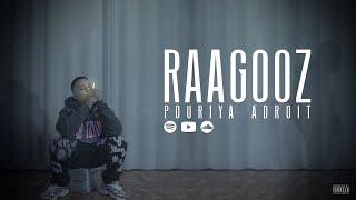 Pouriya Adroit  Raagooz Official Music Video [upl. by Llyrehc]