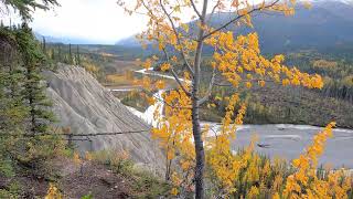 Salt Lick Viewing Area at Muncho Lake Provincial Park BC Canada Sep 222024 [upl. by Husha]