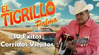 El Tigrillo Palma  20 Exitos   Puros Corridos Viejitos Mix Pesados [upl. by Gehlbach]