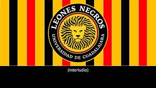 Hino do Leones Negros UdeG Legendado [upl. by Nitsa776]